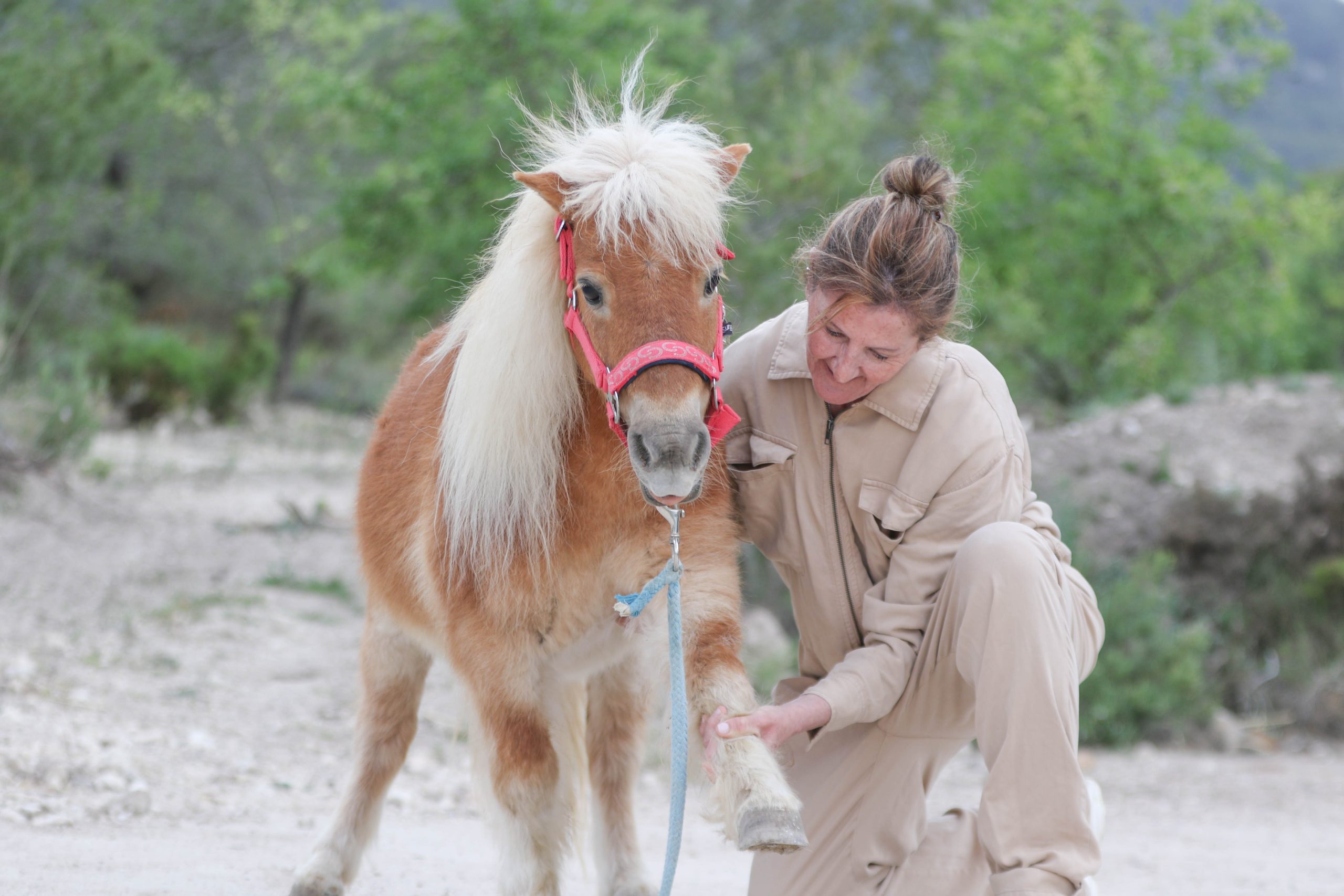 Esperanza trabajando con un caballo
