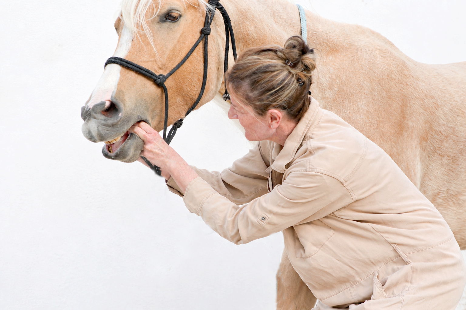 Esperanza junto a un caballo